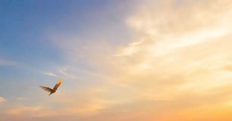A single bird flying into a golden sunset sky with open space ahead